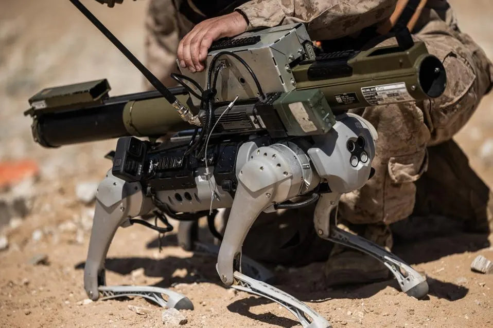 DreamBrick | US Marine Robotic Goat ( In Stock Limitedx10)