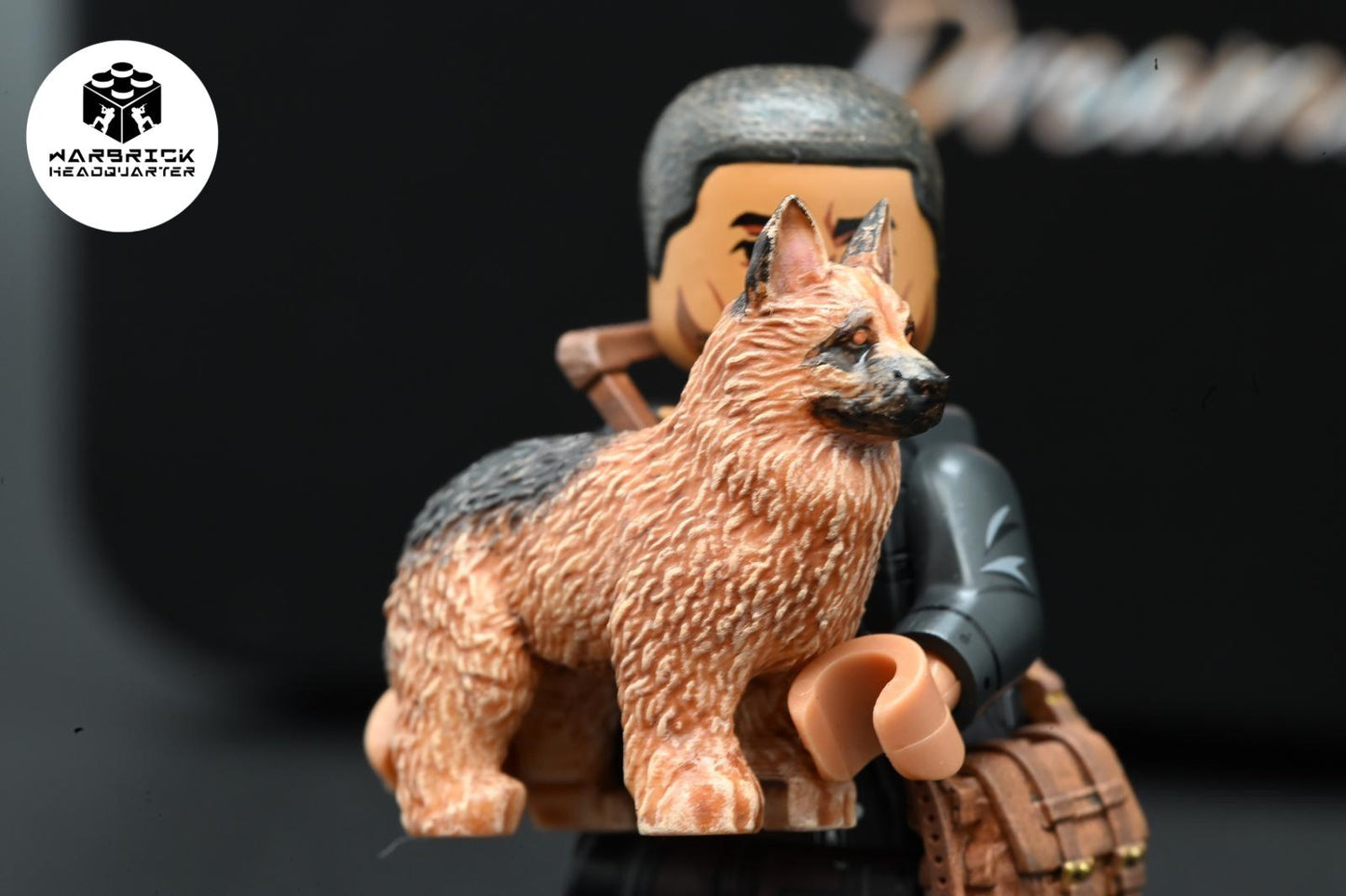 DreamBrick | Legend Set 2003 (Limited)